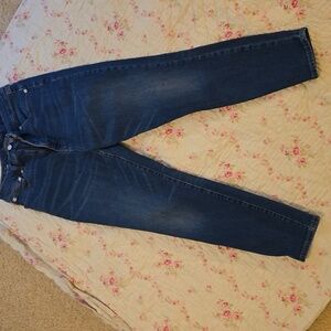Lucy Brand High-Rise Skinny Bridgette Jeans size 31/12.